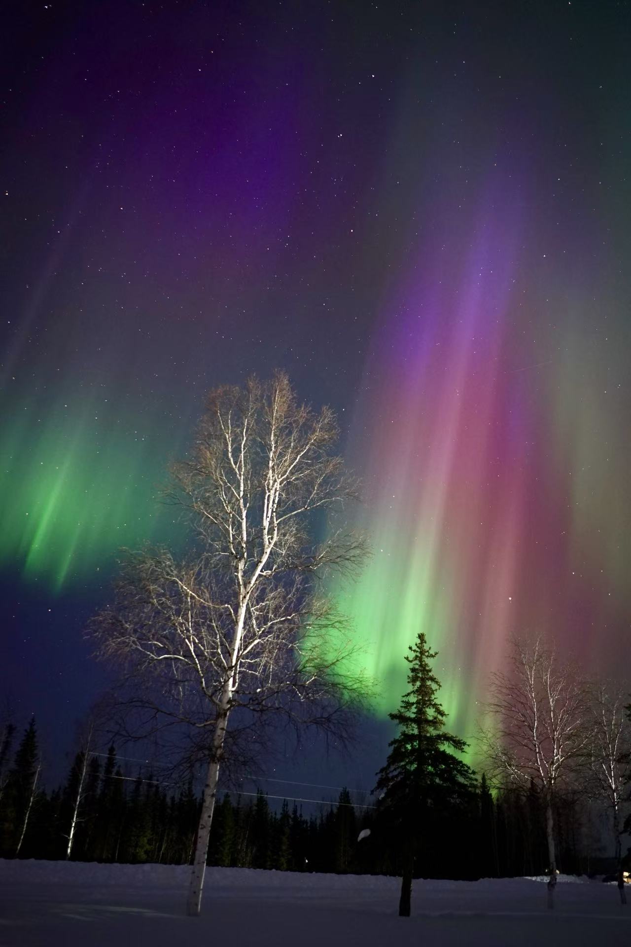 The Best Places to See the Northern Lights